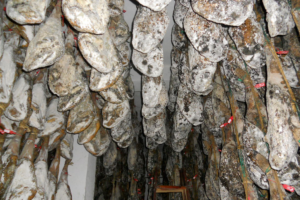 Proceso elaboración Jamón Ibérico: Maduración de las piezas en la bodega