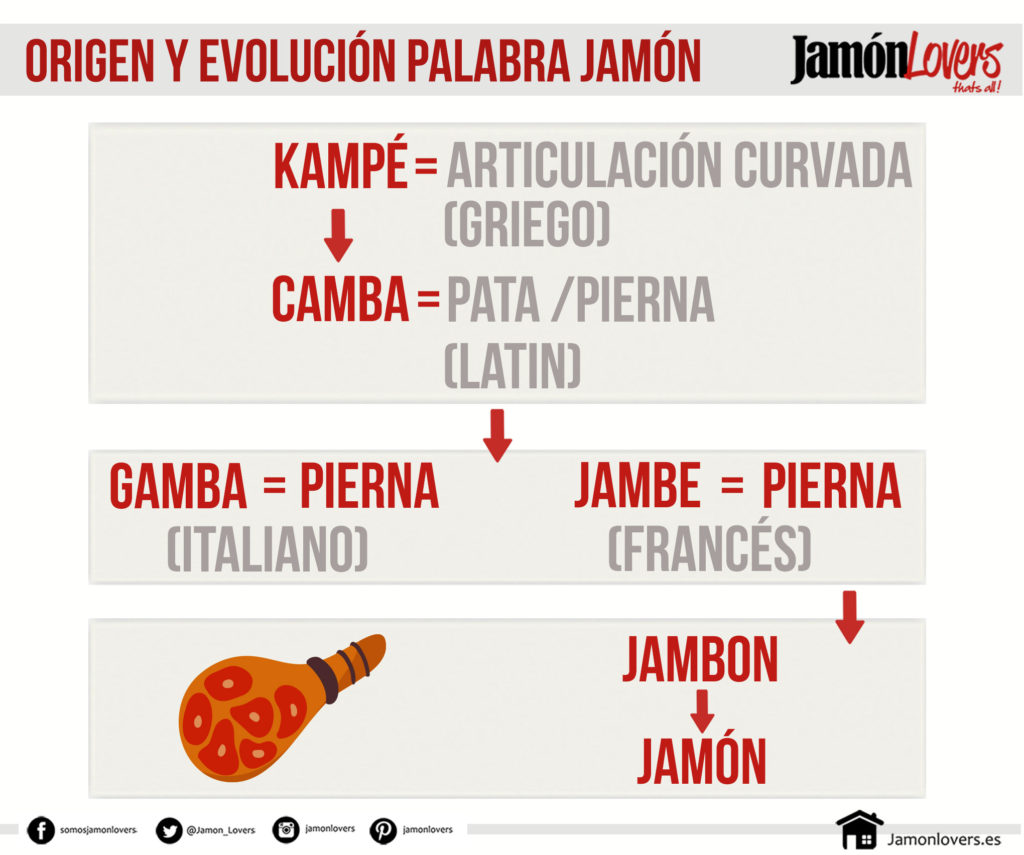 Origen y evolución de la palabra jamón