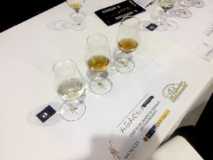 Cata de Vinos de Montilla
