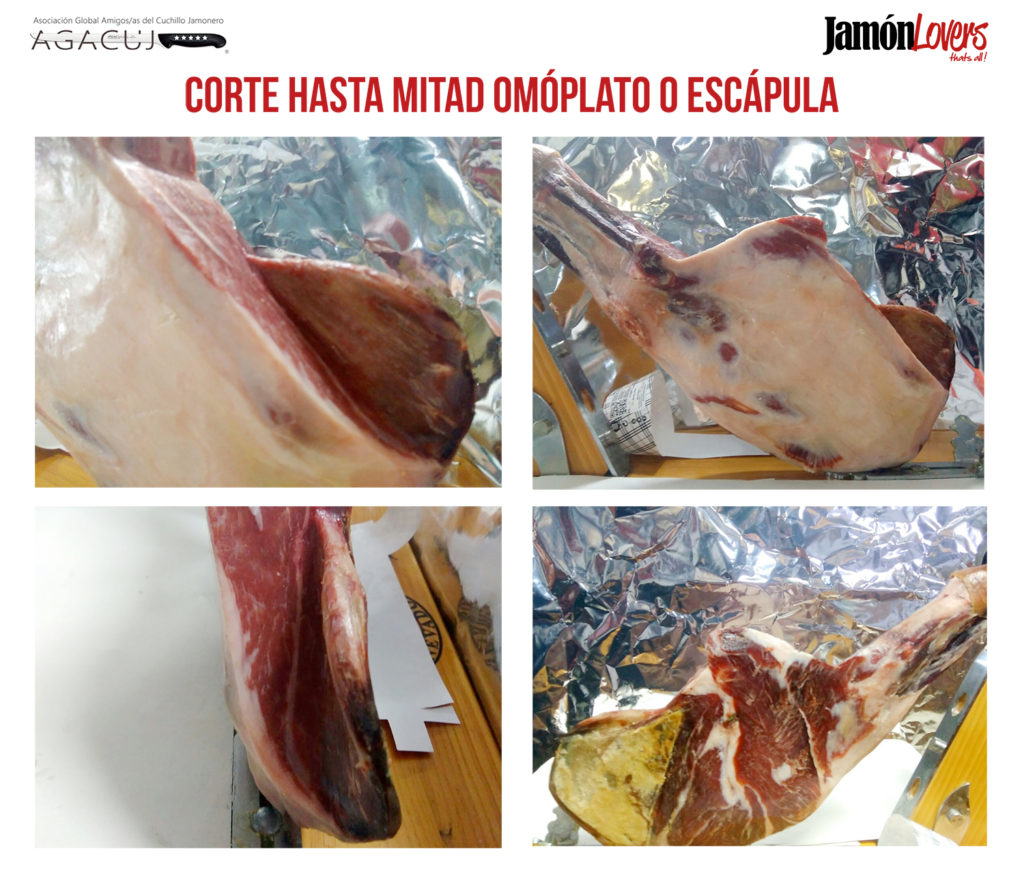 El corte de la paleta: Corte hacia mitad del omóplato o escápula de la paletilla