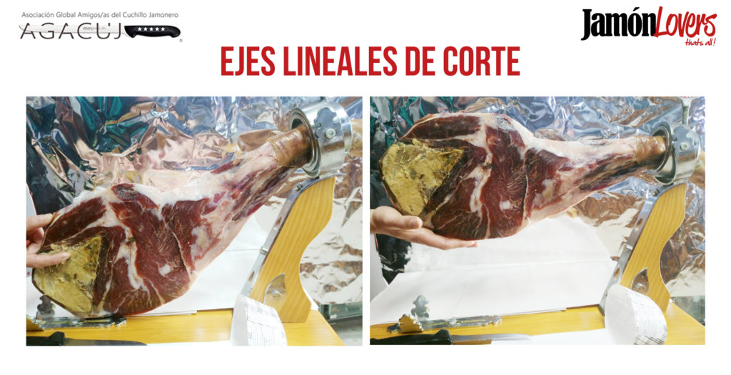 El corte de la paleta: Ejes lineales de corte de la paletilla