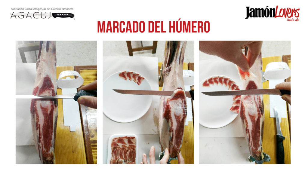 El corte de la paleta: Marcado del húmero de la paletilla