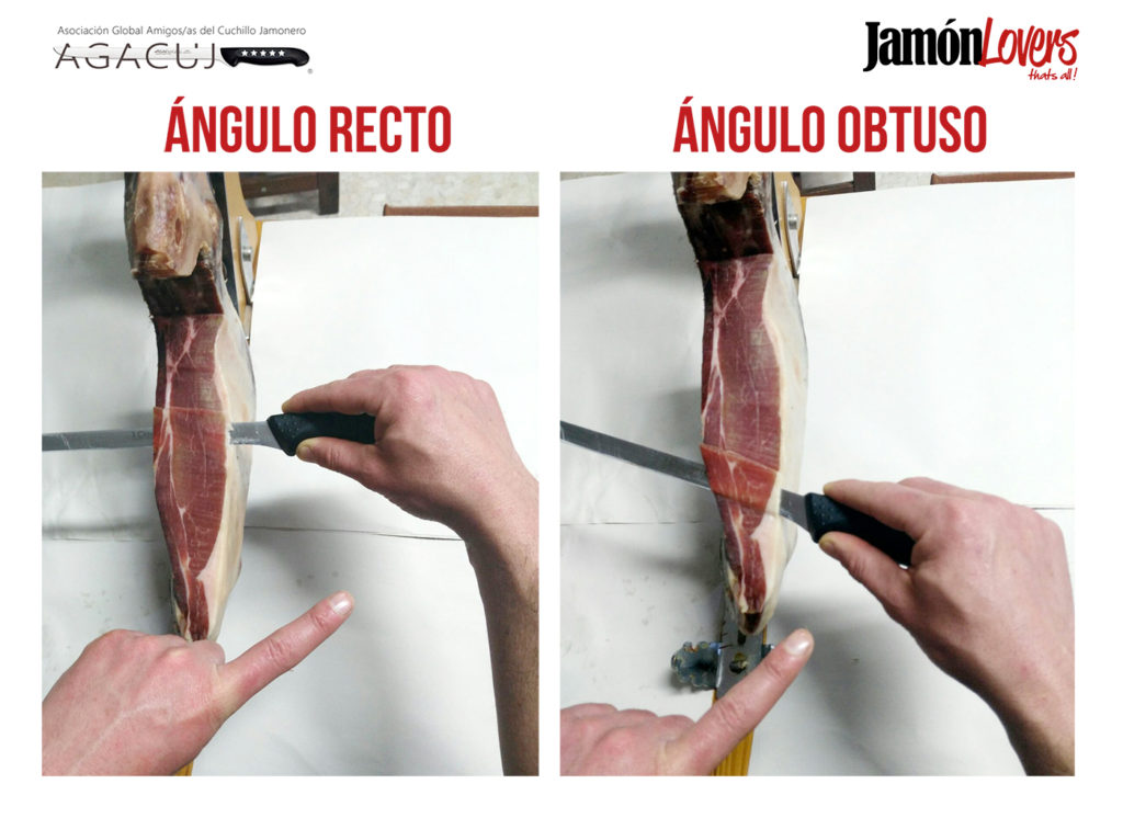 El corte de la paleta: Ángulos de corte de la paletilla