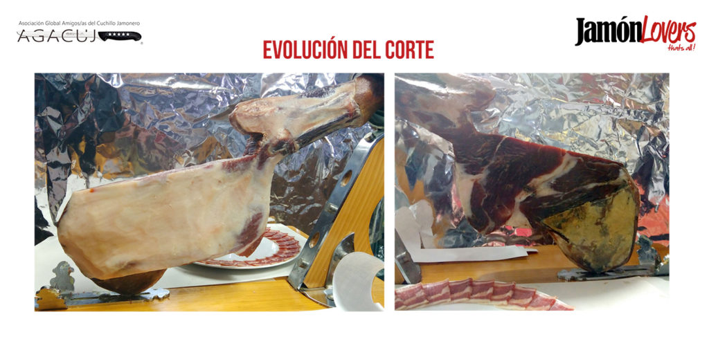 El corte de la paleta: Evolución del corte de la paletilla