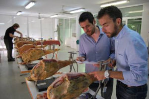 Comienzan las catas de los jamones para la Guía Peñín del Jamón de Teruel
