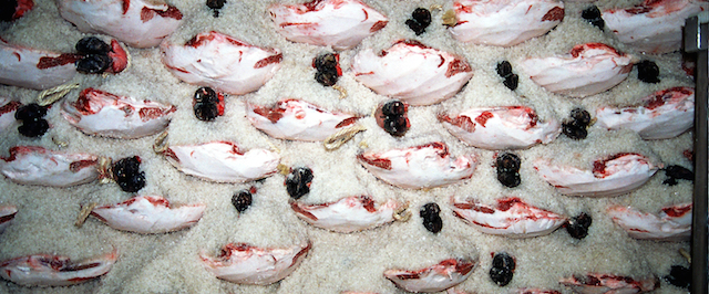 elaboración del jamón