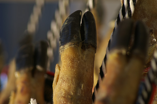 Jamón Pata negra