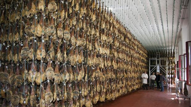 jamón ibérico y el informe de la OMS