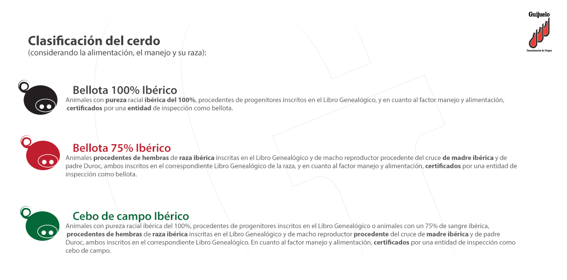 Clasificación Jamón Ibérico Denominación Origen Protegida Guijuelo