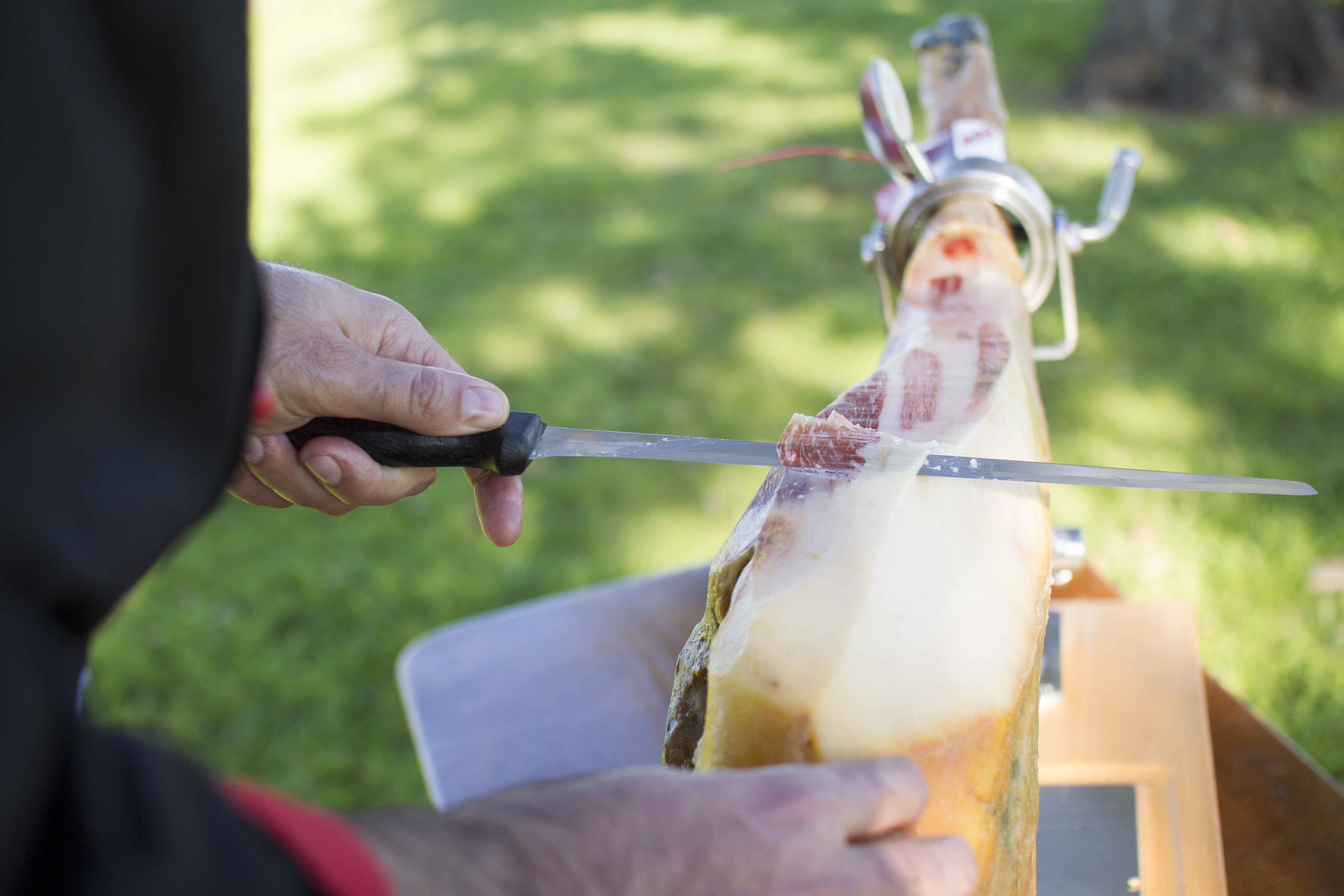 Jamón Ibérico DOP Guijuelo