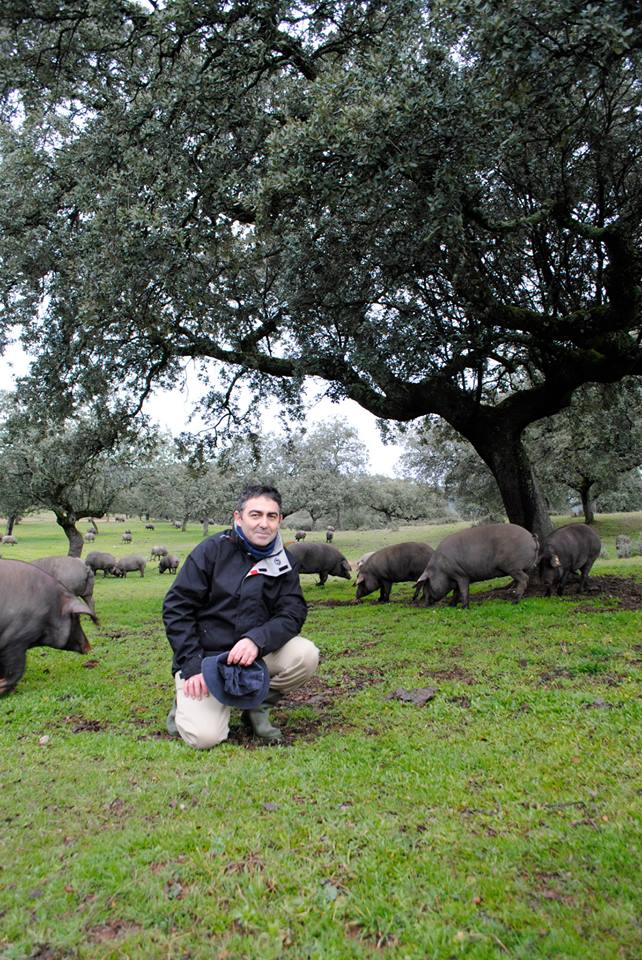 Clemente Gómez Alcántara visitando la dehesa