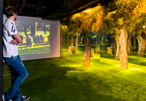 Jamón Experience, sala sobre la alimentación del cerdo ibérico