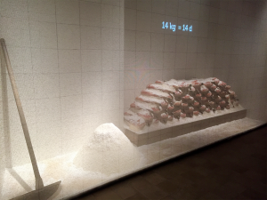 Jamón Experience, sala del proceso de salado del jamón ibérico