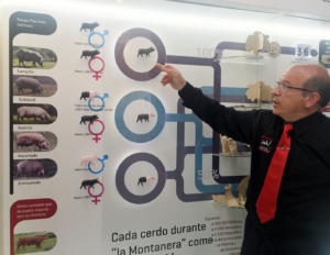Virgilio Sánchez explicando la clasificación del jamón ¡oh! Espacio del Jamón en La Alberca