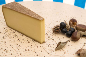 Gruyère d’alpage AOP