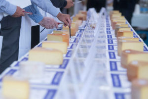 Swiss Cheese Awards