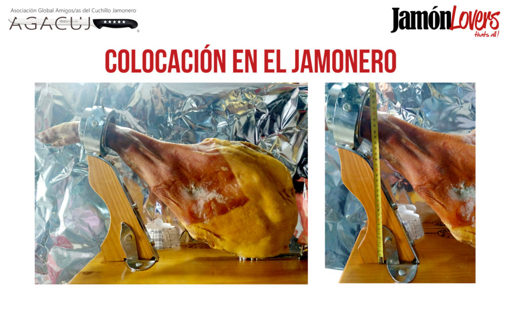 El corte de la paleta: Colocación paletilla en jamonero