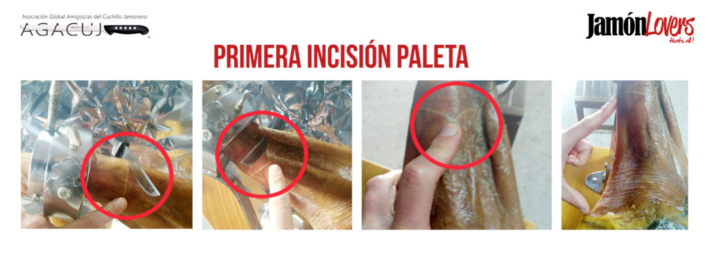 El corte de la paleta: Primera incisión en la paletilla