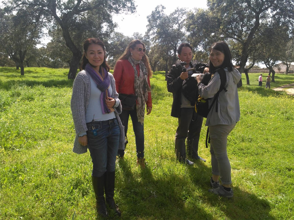 Grabación en la Dehesa del Valle de Los Pedroches para la Televisión Singapur. 