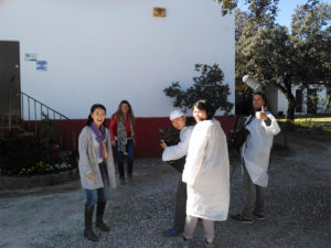 Grabación reportaje jamón de bellota 100% ibérico para la Televisión Singapur. 