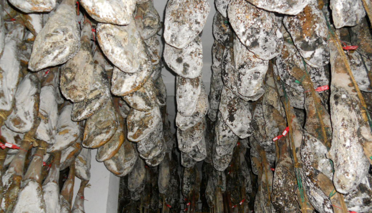proceso-elaboracion-jamon-iberico-bodega-maduracion-jamon