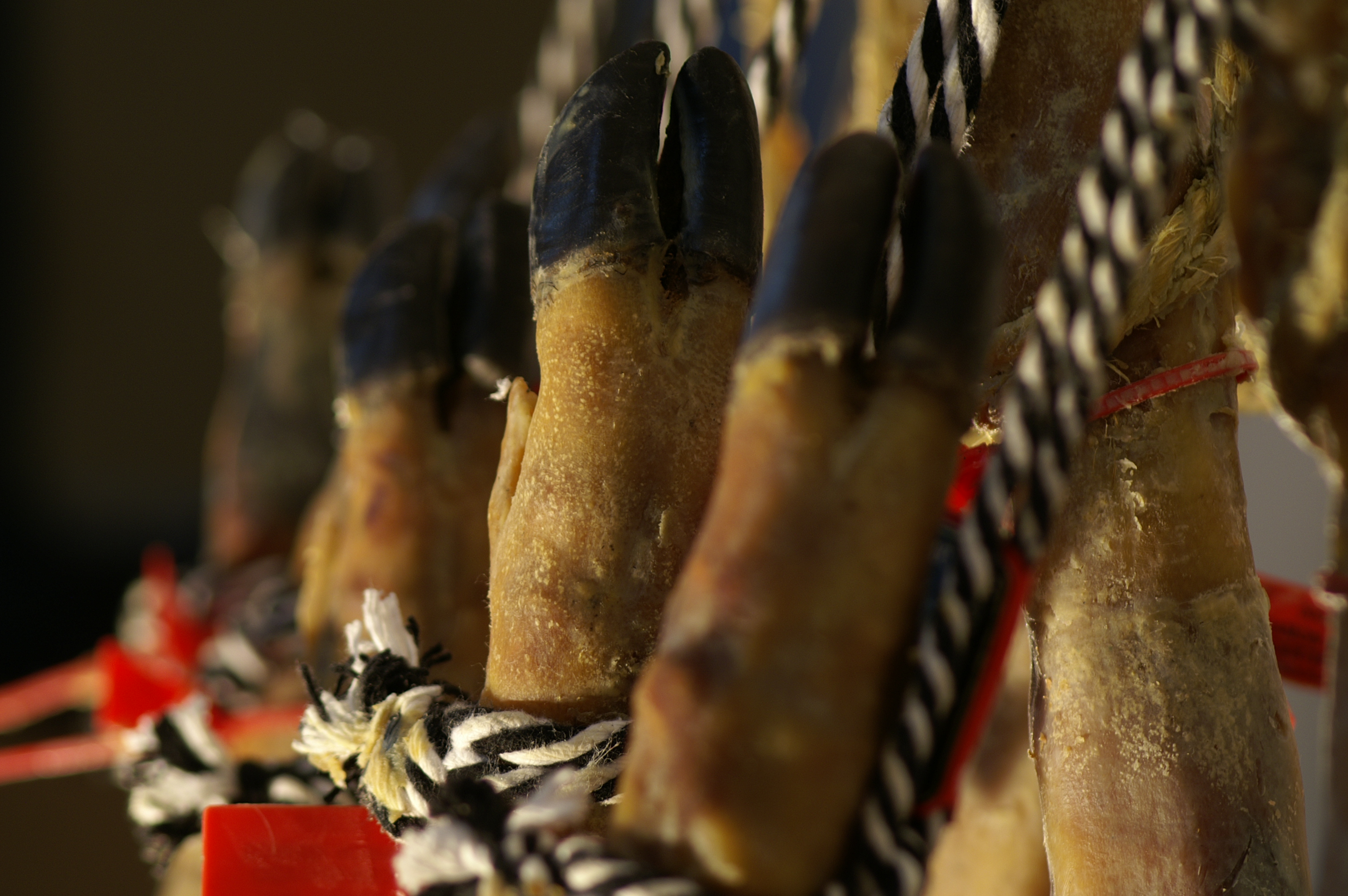 Etiquetado Jamón Ibérico