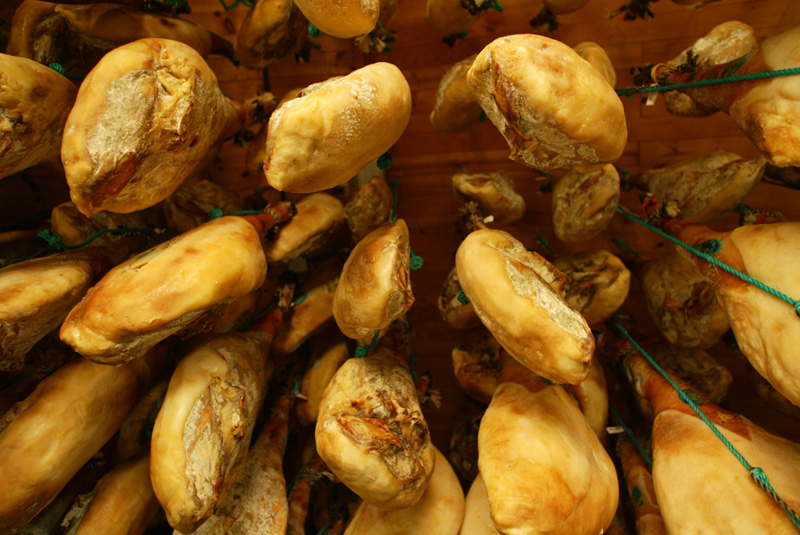 Maduración Jamón Ibérico