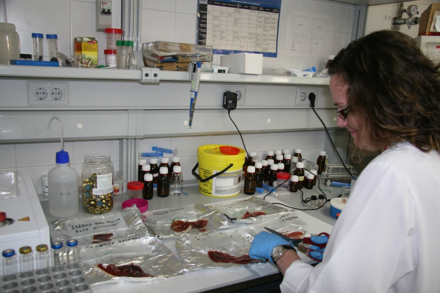Microbiologia y jamón ibérico