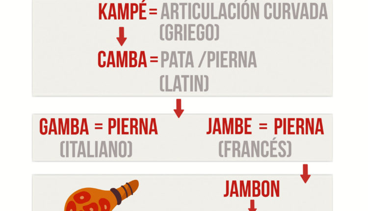 origen-evolucion-palabra-jamon-jamonlovers