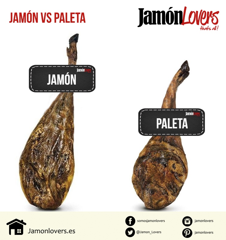 Diferencias entre Jamón y Paletilla