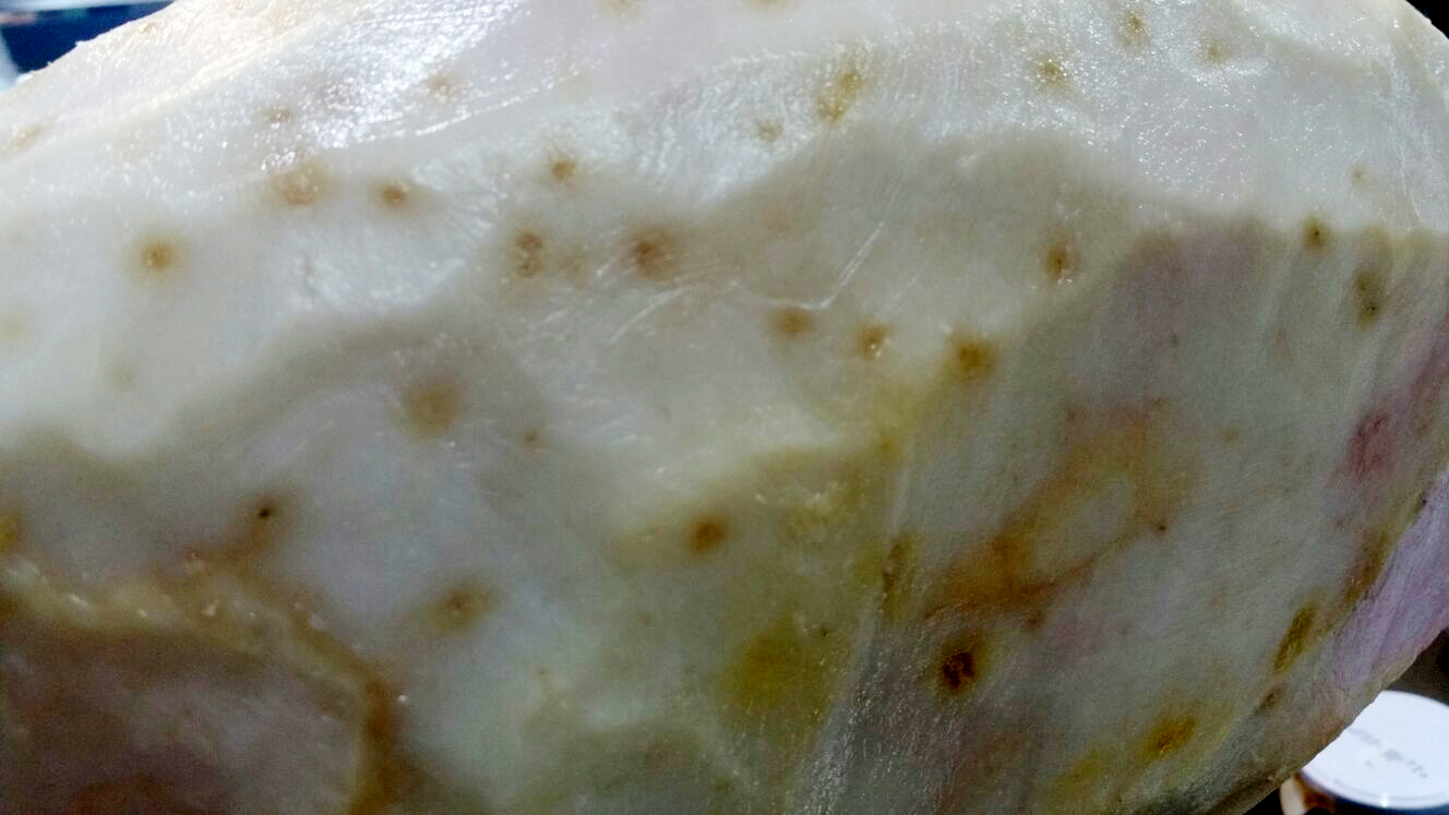 pigmentaciones en la grasa del jamón ibérico