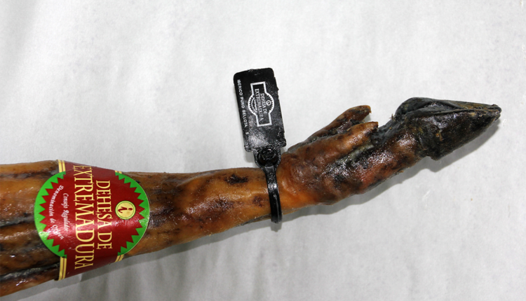 jamon-iberico-bellota-dehesa-extremadura-jamon-lovers
