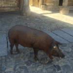 Marrano de San Antón paseando por La Alberca