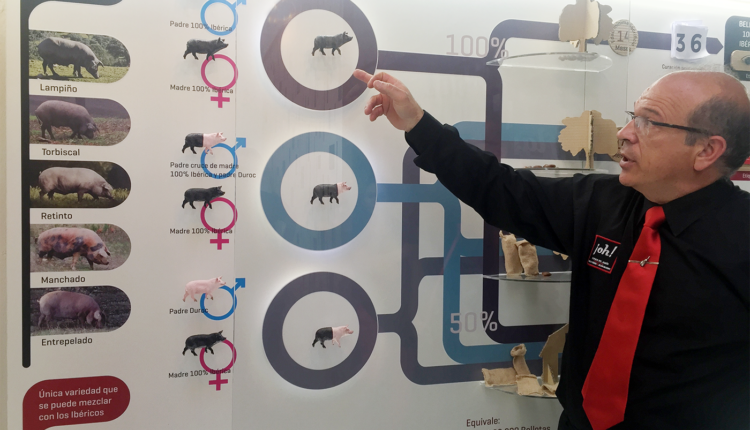 oh-espacio-jamon-virgilio-sanchez-julian-becerro-la-alberca-clasificacion-jamon-iberico