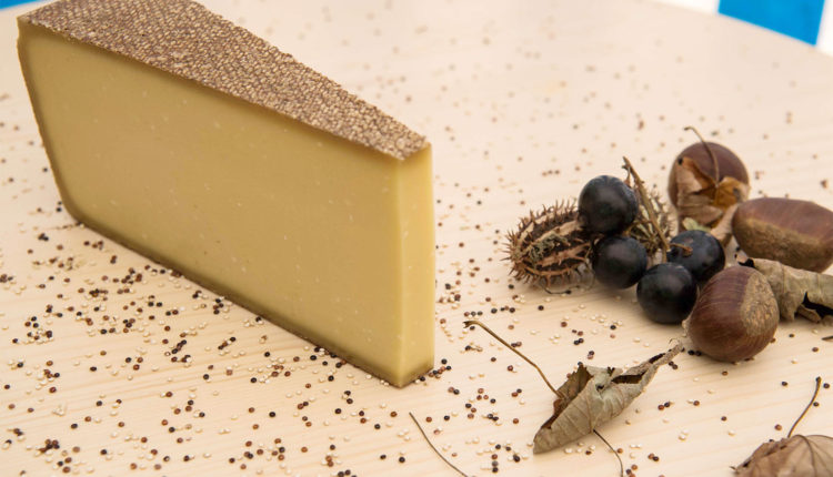 gruyere-dalpage-aop