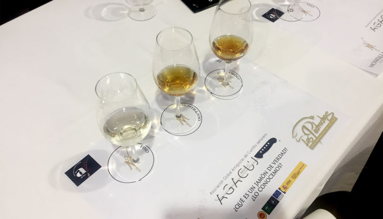 cata-vinos-montilla-moriles