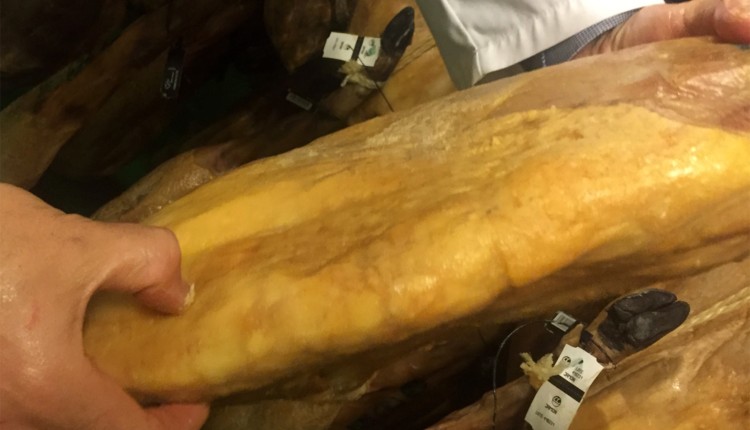 como-seleccionar-pieza-jamon-bellota-iberico-jamonlovers