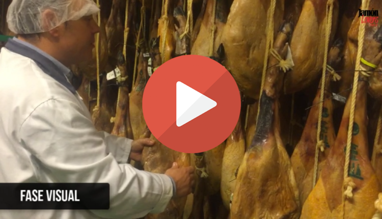 como-seleccionar-pieza-jamon-iberico-bellota-jamonlovers