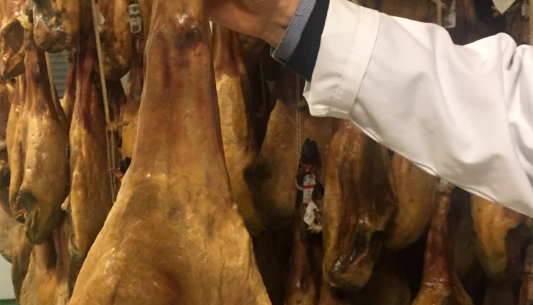 como-seleccionar-pieza-jamon-iberico-jamonlovers