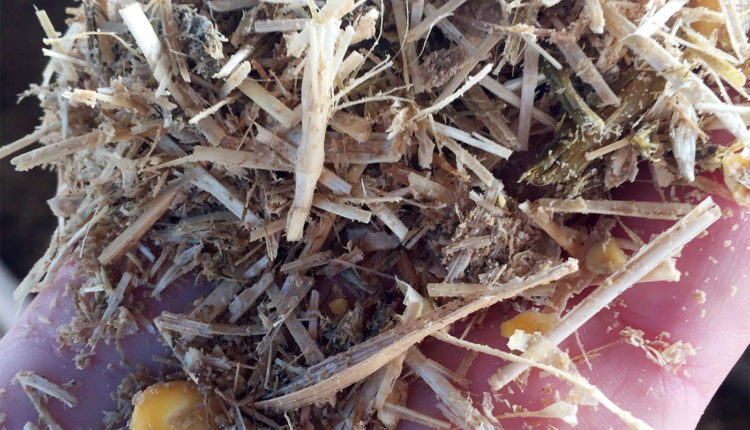 alimentacion-piensos-wagyu-finca-santa-rosalia-jamonlovers