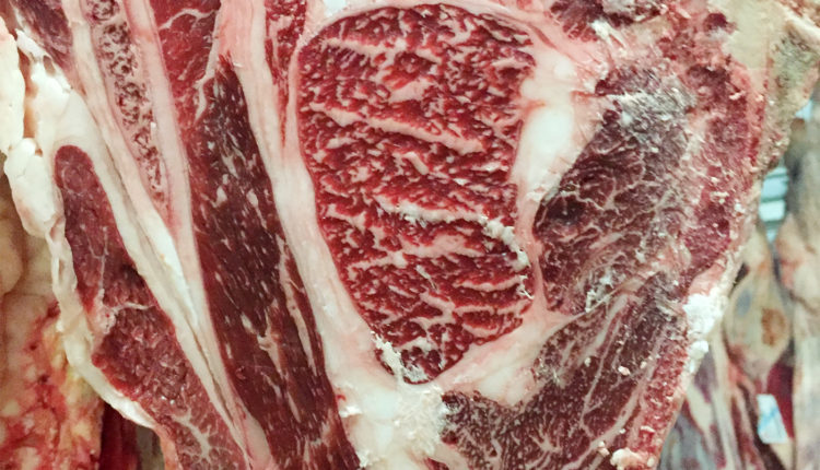 carne-wagyu-finca-santa-rosalia-jamonlovers