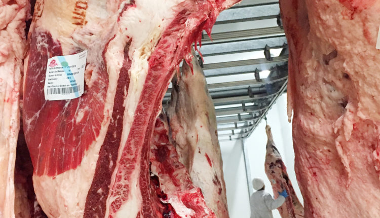 carne-wagyu-finca-santa-rosalia-vizmalo-jamonlovers