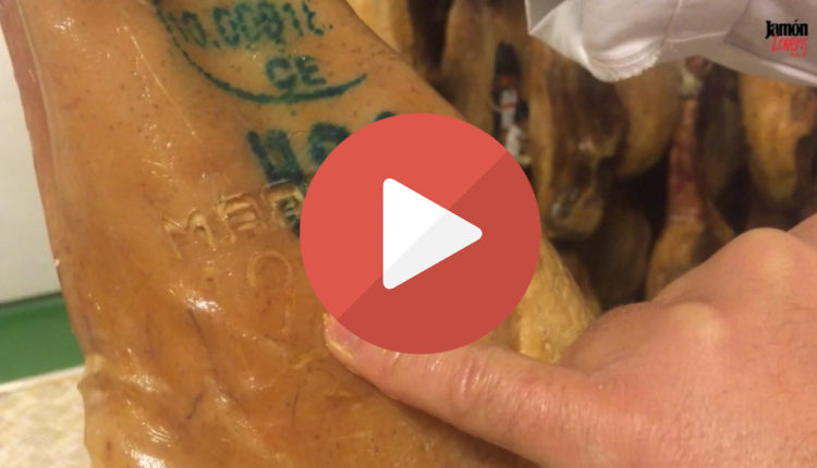 como-seleccionar-pieza-jamon-iberico-bellota-sello-mapa-jamonlovers