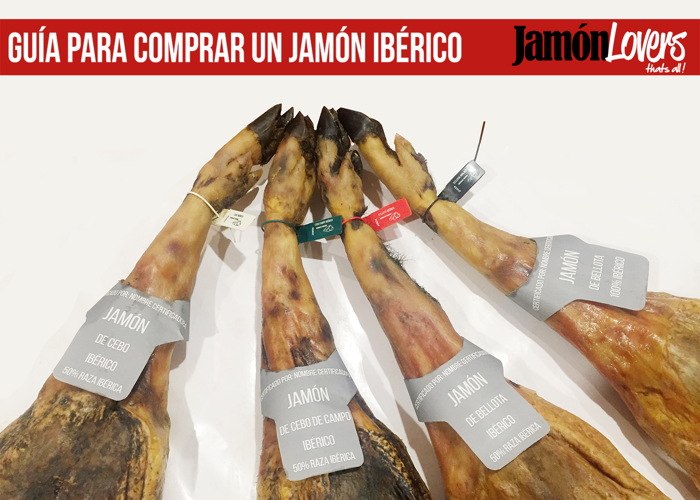 Guía para comprar un Jamón Ibérico
