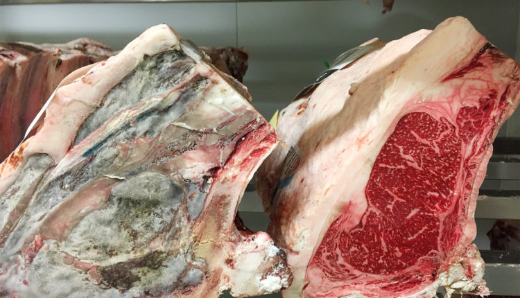 maduracion-lomos-wagyu-finca-santa-rosalia-jamonlovers
