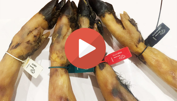 para-comprar-jamon-iberico-precintos-etiquetado-jamones-ibericos-video-jamonlovers