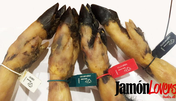 precintos-jamon-iberico-norma-calidad-iberico-jamonlovers