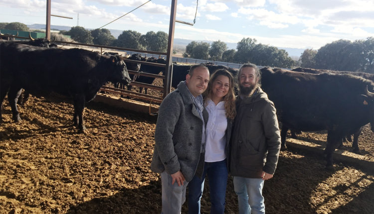 visita-finca-santa-rosalia-ejemplares-wagyu-vizmalo-jamonlovers