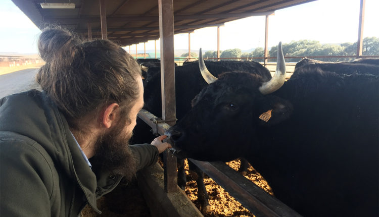 visita-finca-santa-rosalia-wagyu-vizmalo-jamonlovers