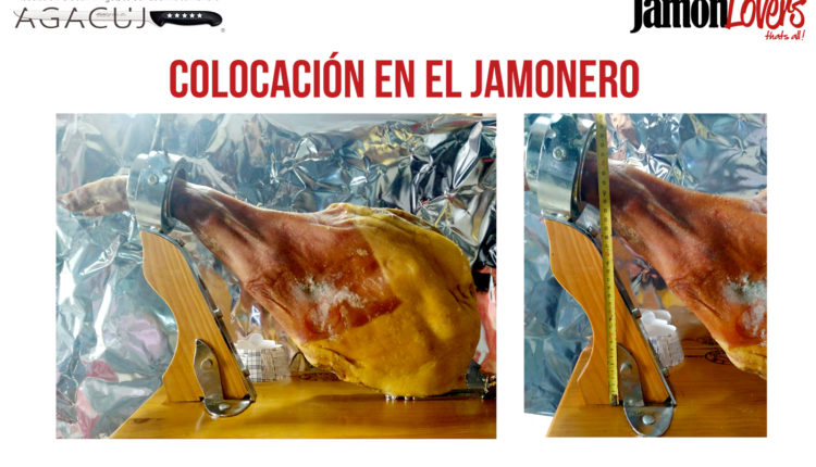colocacion-paleta-jamonero-corte-paletilla-jamonlovers